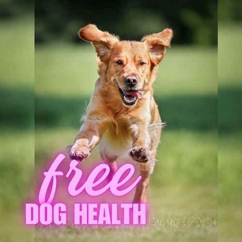 Free Dog Supplement Samples: Boost Your Best Friend's Health | FreeBFinder.com